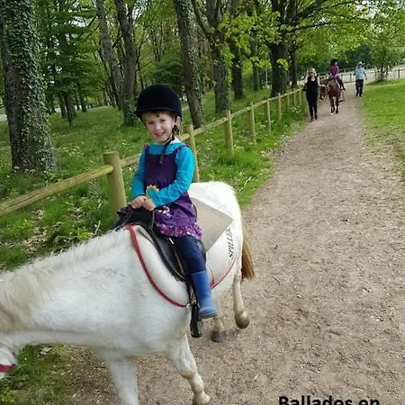 La Fleche Cupidon -la Roche Sur Yon 酒店