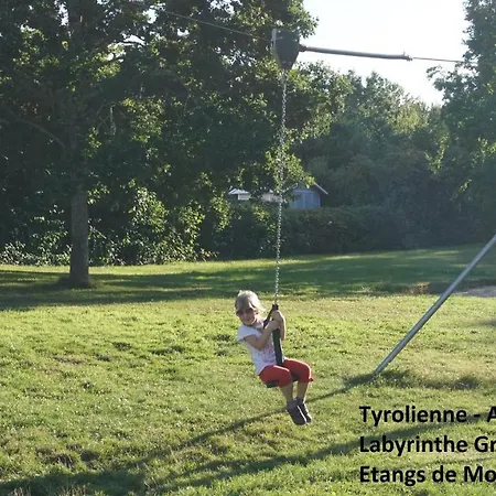 La Fleche Cupidon -la Roche Sur Yon *