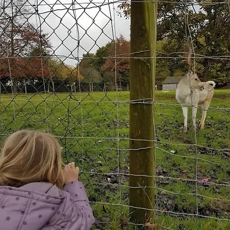酒店 La Fleche Cupidon -la Roche Sur Yon 穆耶龙·勒卡普蒂夫