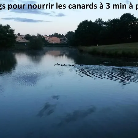 La Fleche Cupidon -la Roche Sur Yon * 穆耶龙·勒卡普蒂夫