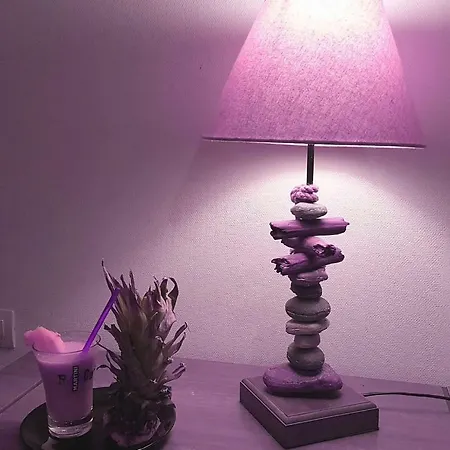 酒店 La Fleche Cupidon -la Roche Sur Yon