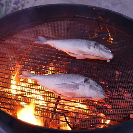 酒店 La Fleche Cupidon -la Roche Sur Yon 穆耶龙·勒卡普蒂夫